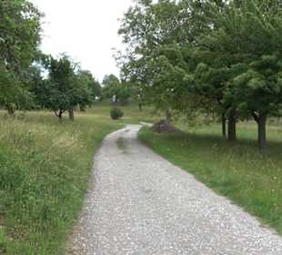 Wanderweg - Alter Steinbruch Pfaffenberg Runde