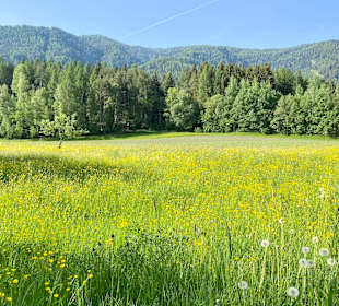 Wandern Brunico / Bruneck