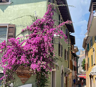 Altstadt
