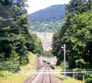 Fahrt mit der Schlossbahn