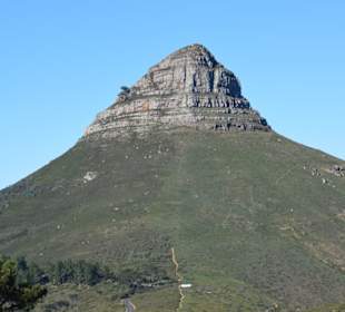 Lions Head
