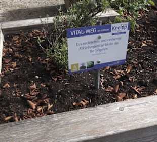 Kneippscher Kräutergarten