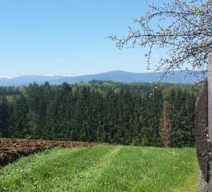 Blickrichtung Koralpe