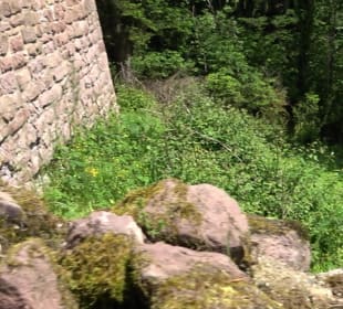 Burg Mandelberg
