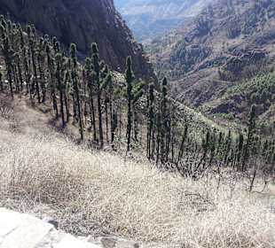 In dem Tal sind sie verstorben