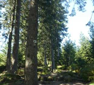 Wanderung am Kleinen Arber
