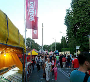 Chmielaki krasnostawskie.