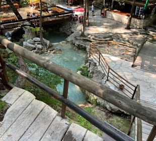 Traumhaft schöne Natur