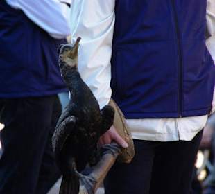 Bund Naturschutz Festwagen Biber