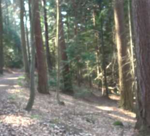 Wanderung Florianrunde