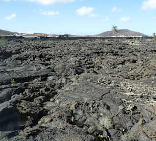 Fundacion Cesar Manrique
