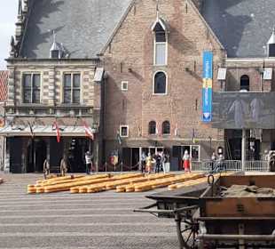 Vor dem Rathaus in Alkmaar immer Freitags!