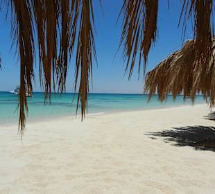 Ausflug zur Paradiesinsel Mahmya