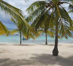Insel Saona
