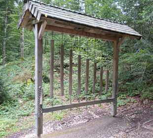 Wanderung auf dem Bergwald-Erlebnispfad