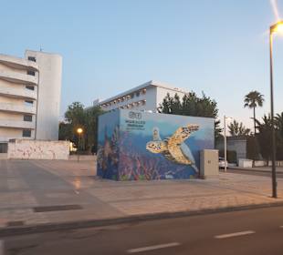 Stadtrundfahrt Alcudia