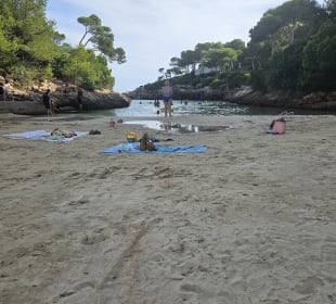 Strand