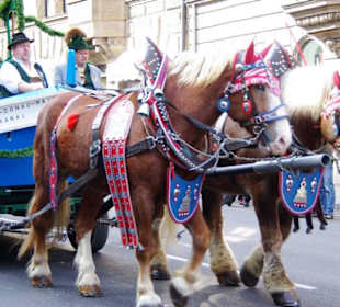 Stadtkapelle Schillingsfürst