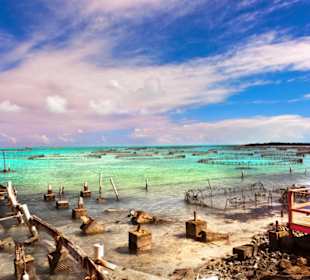 Caicos Conch Farm
