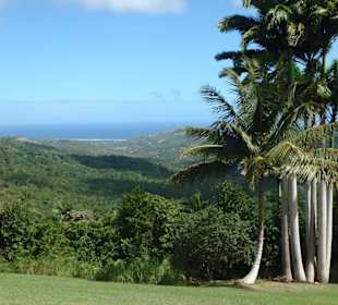 Phantastischer Blick auf die Ostküste von Barbados