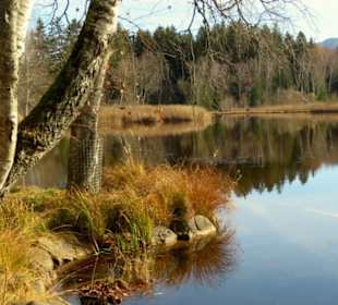 Natur pur