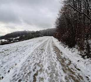 Der Wanderweg auf den Veitsberg