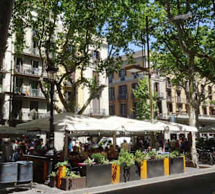 Impressionen von der Rambla