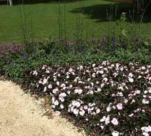 Blühendes Neresheim 2021