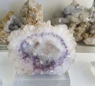 Die Mineraliensammlung des Fichtelgebirgsmuseums