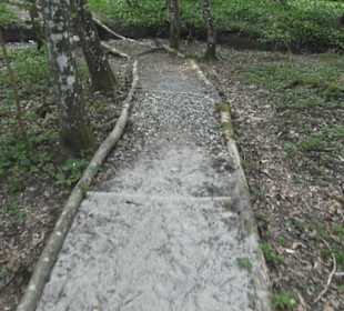 Barfußpfad Firstwald