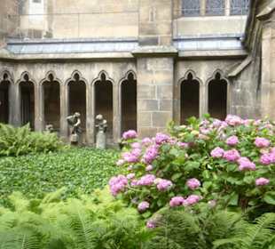 Der Garten / Kreuzweg vom Dom von Meißen