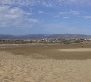 Dünen Richtung Norden