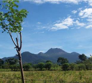 Blick auf die La Soufrier