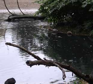 Tierpark