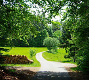 Wanderung zum Bärenfels