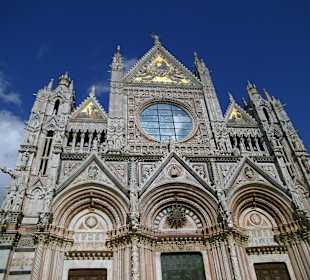 Siena - Dom