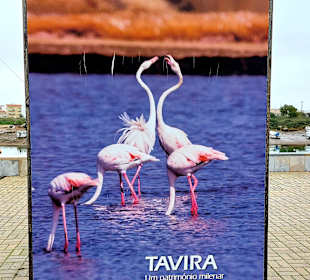 Stadtrundgang Tavira