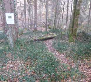 Rundwanderung Valley