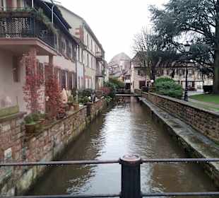 Altstadt Wissembourg in Wissembourg