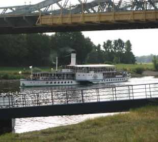 Dampfer am blauen Wunder