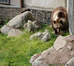 Zoo