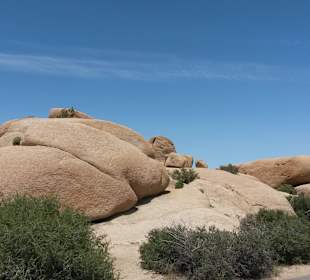 Joshua Tree National Park