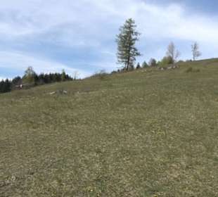 Rundweg am Beutenlay