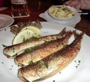 Bratheringe im Ratskeller