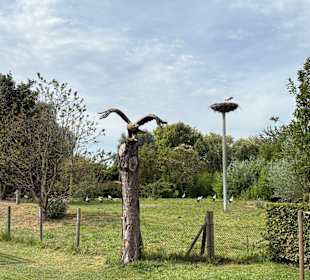 Irrland Bauernhof-Erlebnisoase