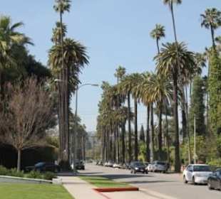 Beverly Gardens Park