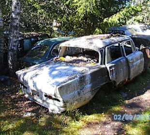 Autofriedhof am Foxen