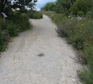 ALB-GOLD Naturgarten