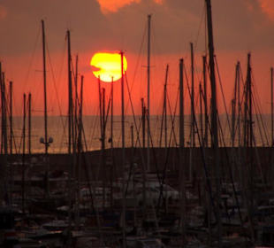 Der Hafen von Yasmine