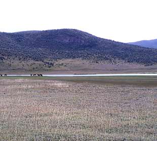 Cotopaxi Nationalpark